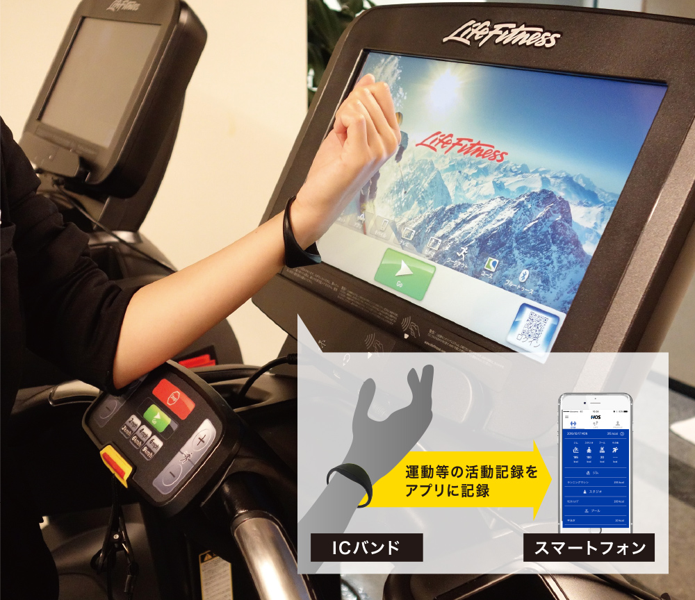 hos_link-1